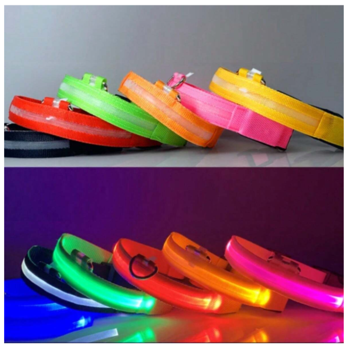 Lumipet™-Collar Luminoso LED Recargable